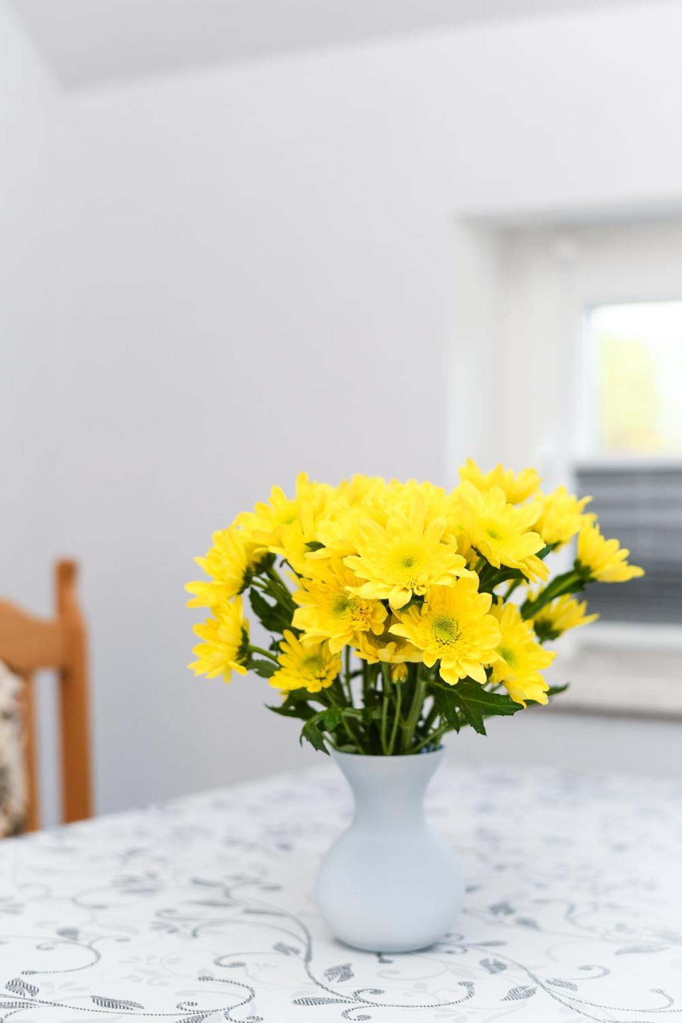 Ferienwohnung Nordmoor Blomberg  ภายนอก รูปภาพ